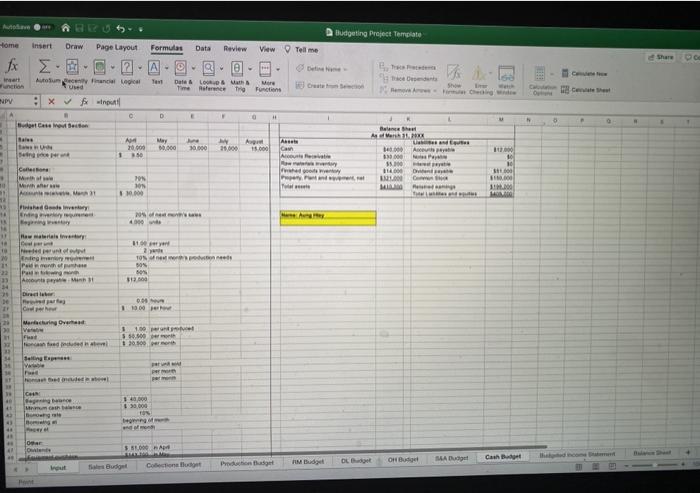 be completed in Excel. When you have finished the project, you need