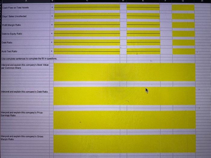 the open ended questions that are on the Ratio sheet \\ \hline