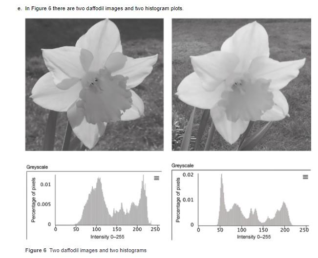 Week 8. This question relates to filtering and image processing. You are