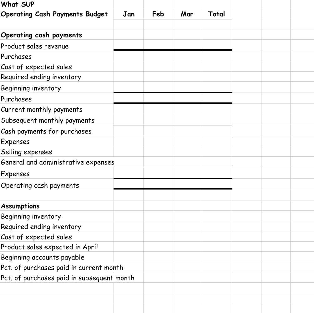 the one created in this chapter to budget operating cash payments by
