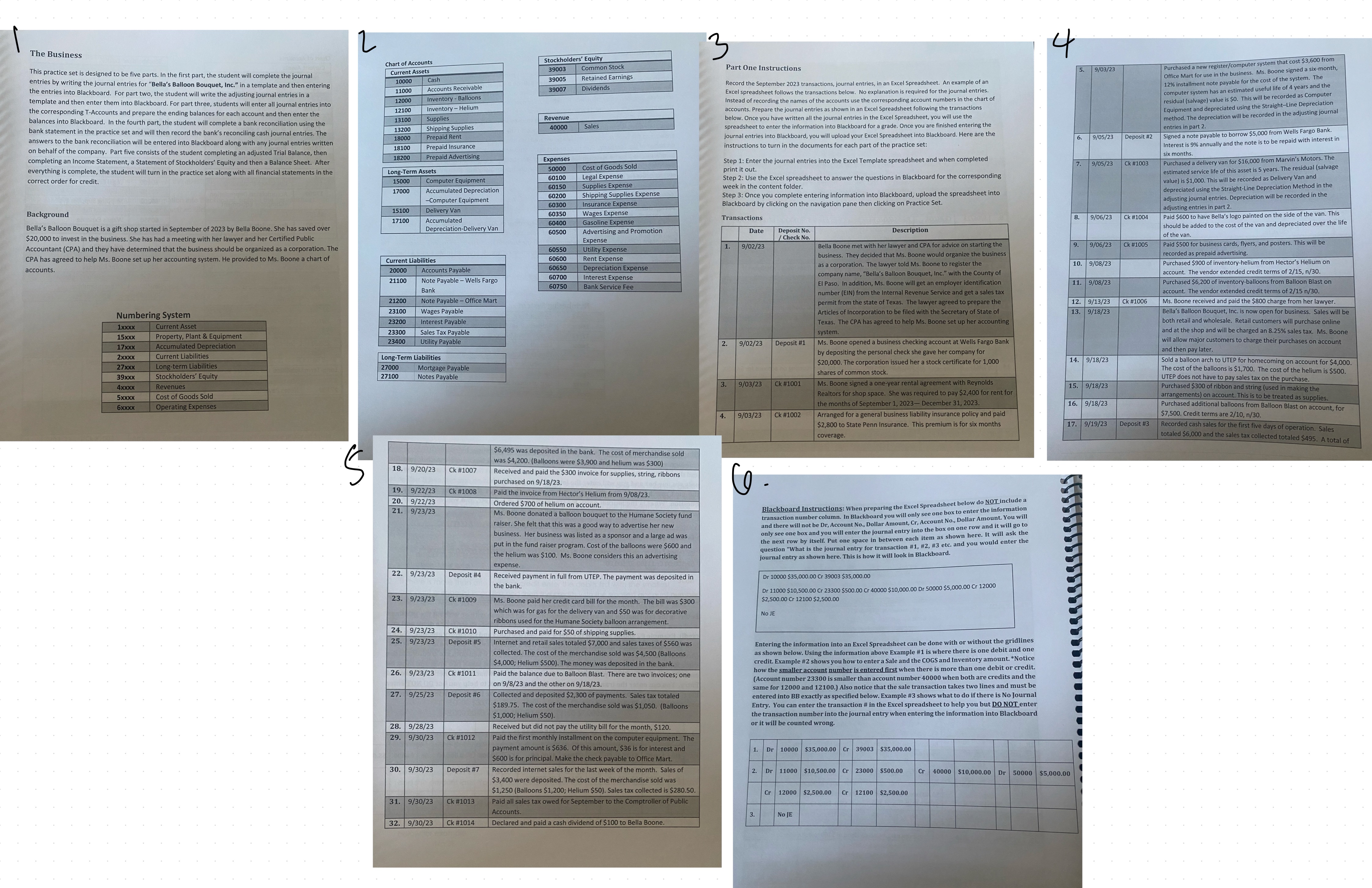 The Business This practice set is designed to be five parts. In