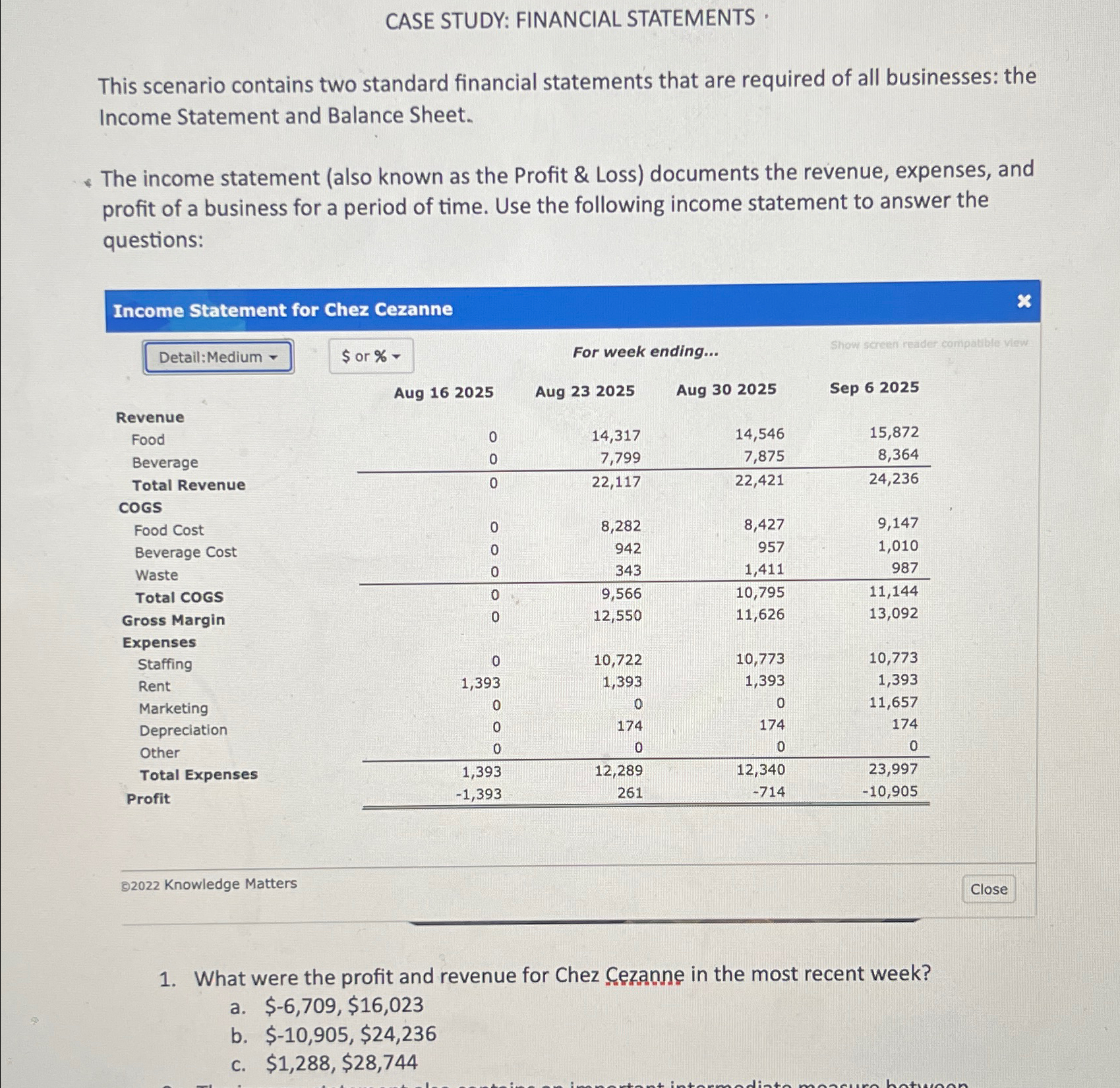  CASE STUDY: FINANCIAL STATEMENTS * This scenario contains two standard financial