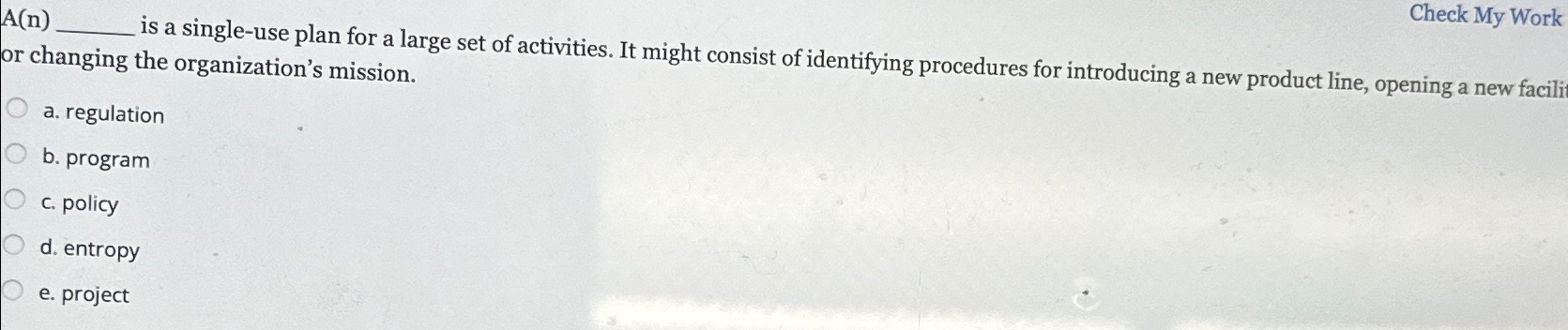  A(n) is a single-use plan for a large set of activities.
