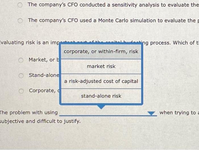 risk analysis is a critical component of the capital budgeting process. Consider
