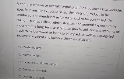  A comprehensive or overall formal plan for a business that includes