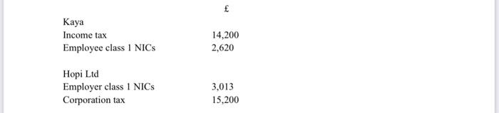 of, and 100% shareholder in, Hopi Ltd. Hopi Ltd has no other