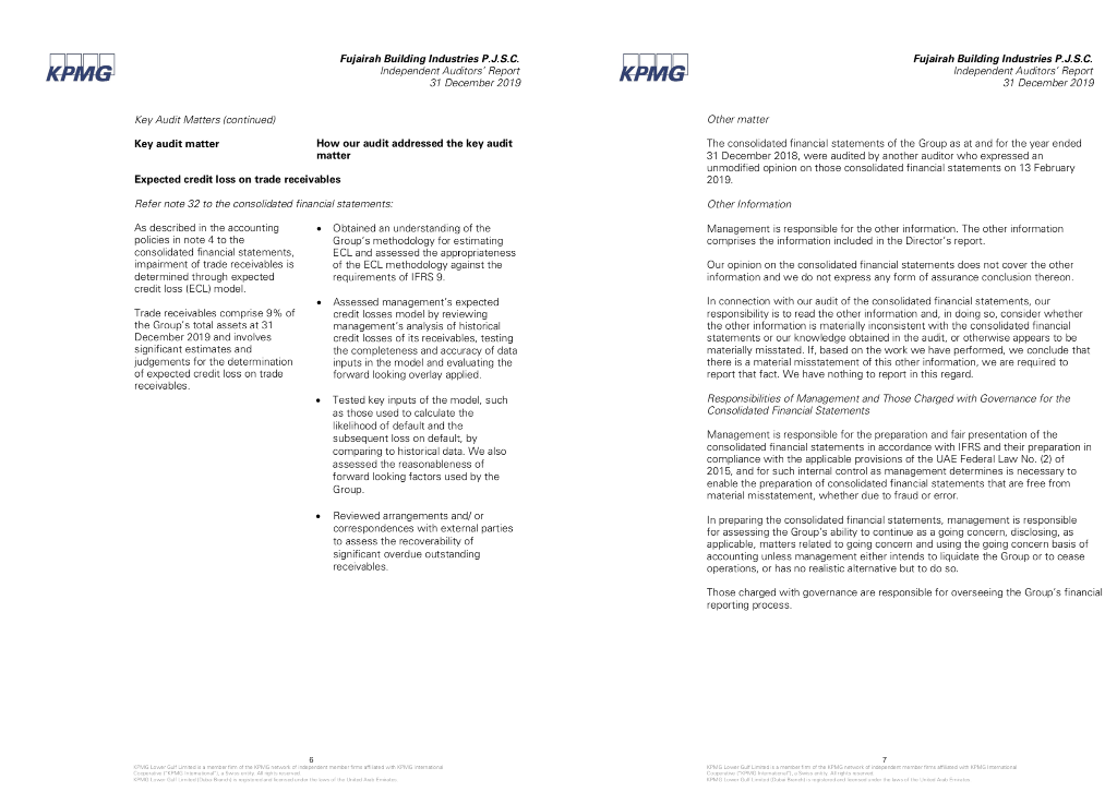 If yes, list the other concerns auditors had about the company's financial