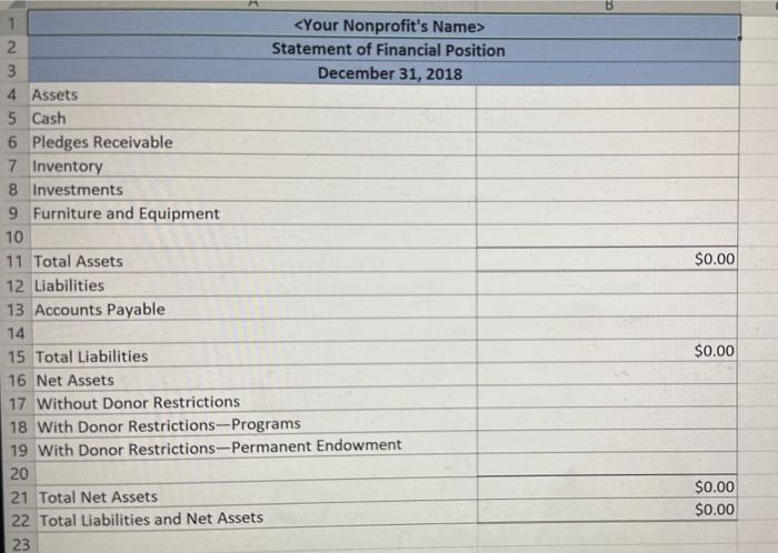 use the following information about your nonprofit to prepare the Statement of