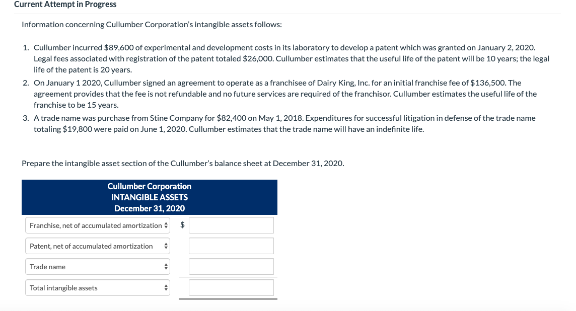 Current Attempt in Progress Information concerning Cullumber Corporation's intangible assets follows: