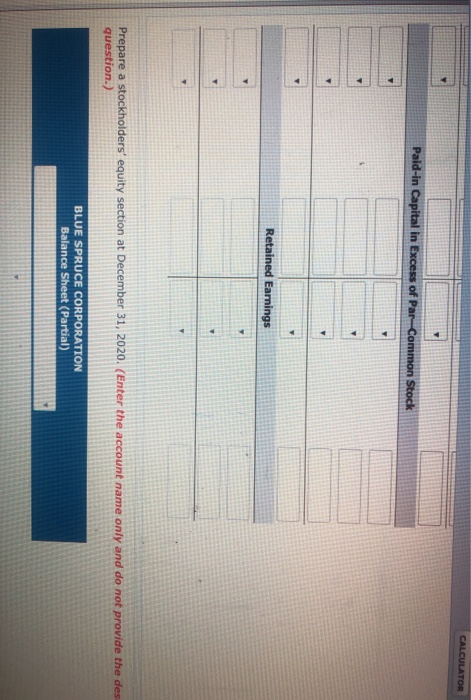Preferred Stock (10,000 shares) Paid-in Capital in Excess of Par-Preferred Stock Common