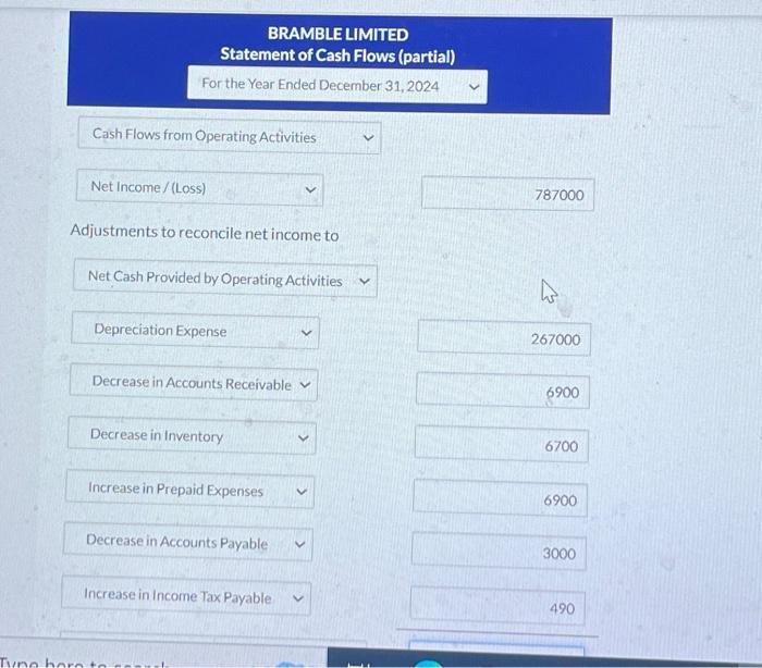 net income of $787,000 for the year ended December 31, 2024. Depreciation