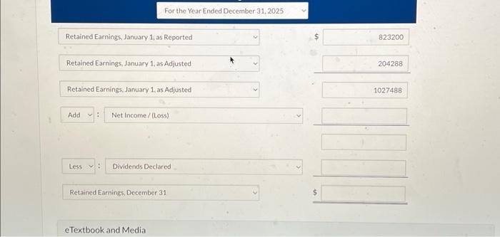 Corp. for the year 2025. For the Year Ended December 31, 2025