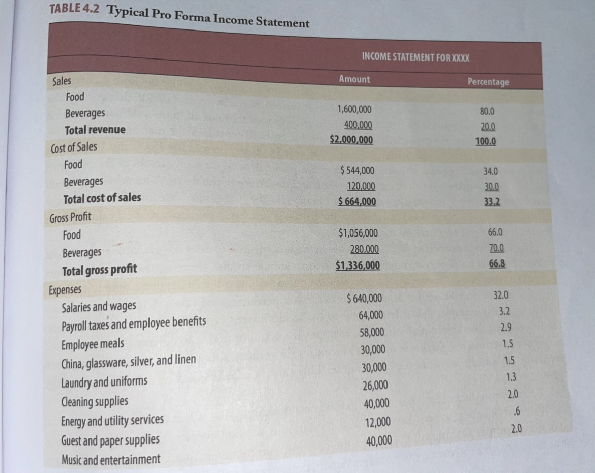 What would be the typical pro forma income statement estimates for a