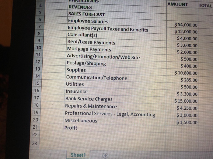  Make a Balance Sheet and Income Statement from above information. AMOUNT