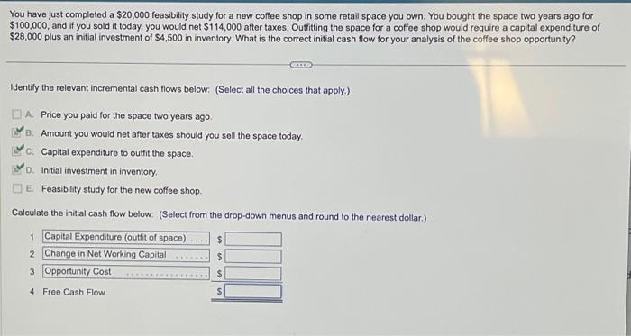 please help with second part You have just completed a $20,000 feasibility