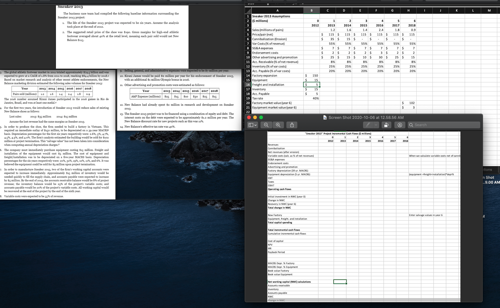 Sneaker 2013 case study assumptions and background details are given. B D