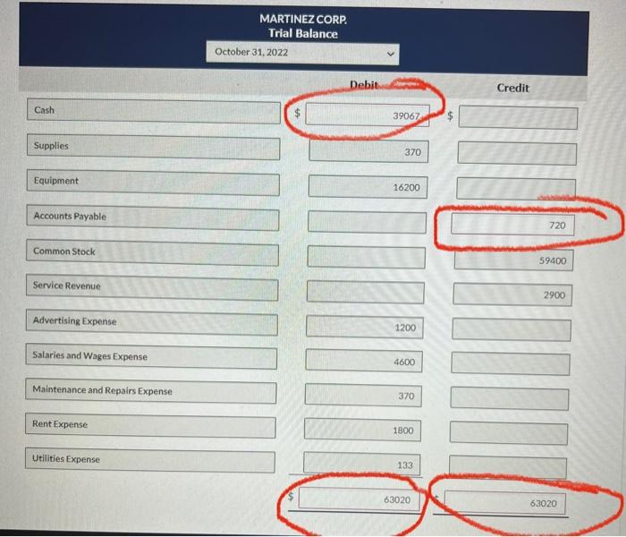 cash from investors. Hired part-time security consultant Salary will be $1.800 per