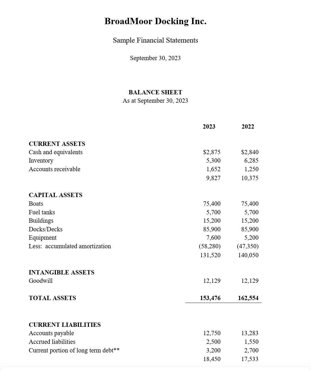 performance (profitability, asset management) and financial leverage (liquidity, solvency) ratios for 2023