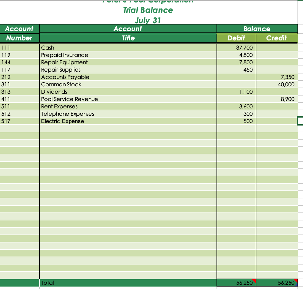 Trial Balance in the space below. Peter's Pool Corporation Adjusted Trial Balance