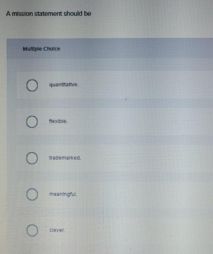 A rnlsqon statement should be quantrtattve demarK9d.