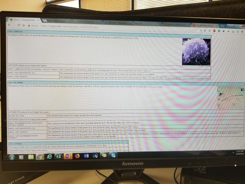 Neutrophil class Complete the Lymphocyte class Complete the Macrophage class Download the