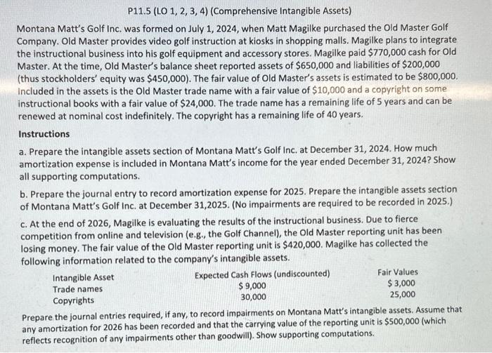 Turn into excel sheet, show formulas P11.5 (LO 1, 2, 3, 4)