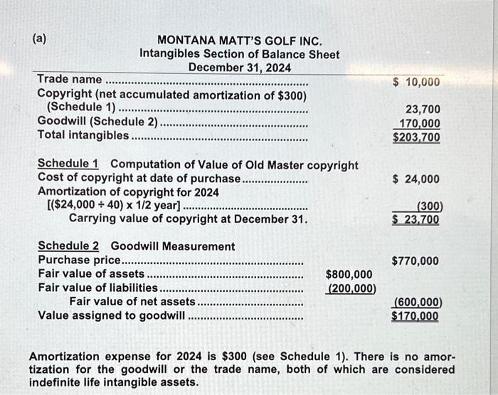 (Comprehensive Intangible Assets) Montana Matt's Golf Inc. was formed on July 1,