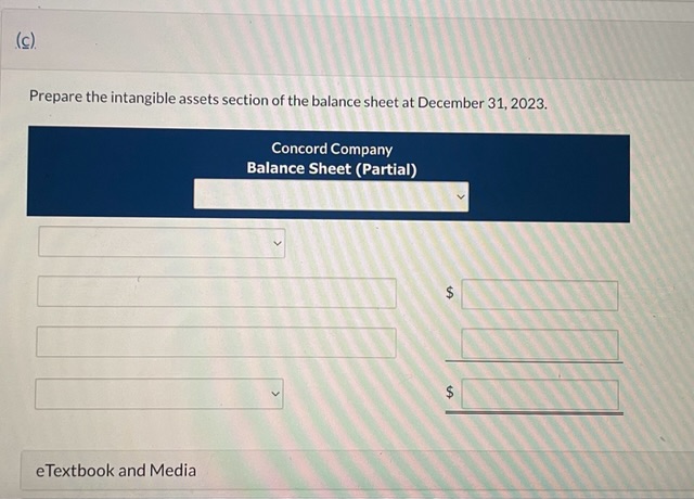 the balance sheet at December 31, 2023. The intangible assets section of