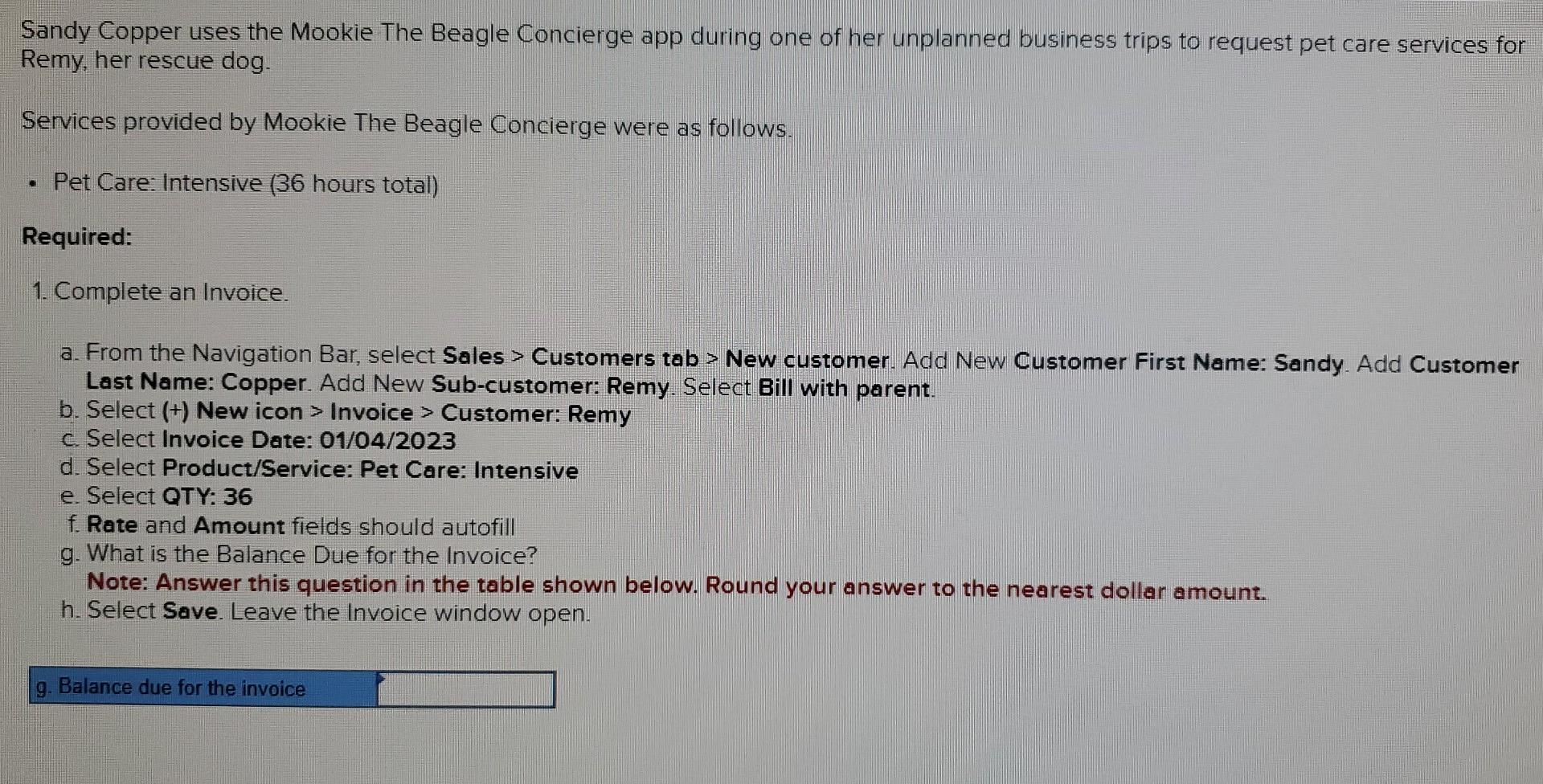 Sandy Copper uses the Mookie The Beagle Concierge app during one