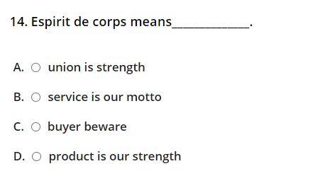  14. Espirit de corps means A. O union is strength B.