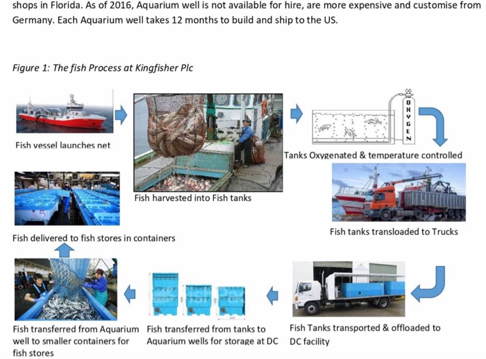 kingfisher's financial difficulties is its production process. Incorrect production processes are the