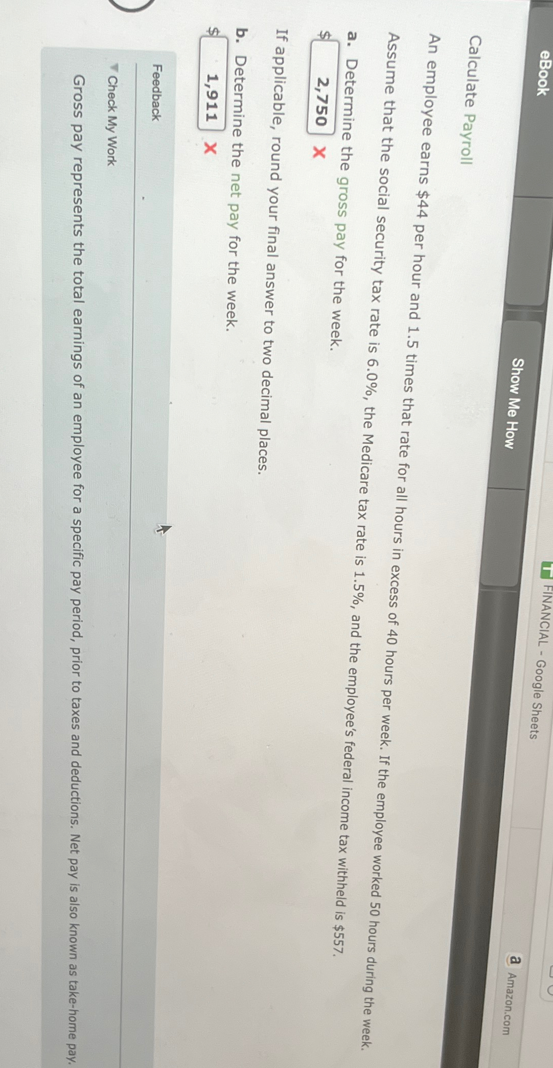  FINANCIAL - Google Sheets Show Me How Amazon.com Calculate Payroll An