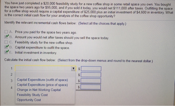  You have just completed a $20,000 feasibility study for a new