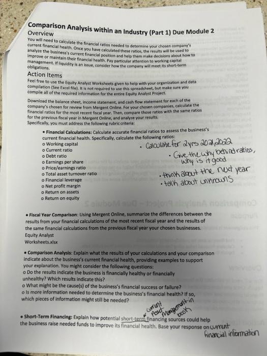  Comparison Analysis within an Industry (Part 1) Due Module 2 Overview