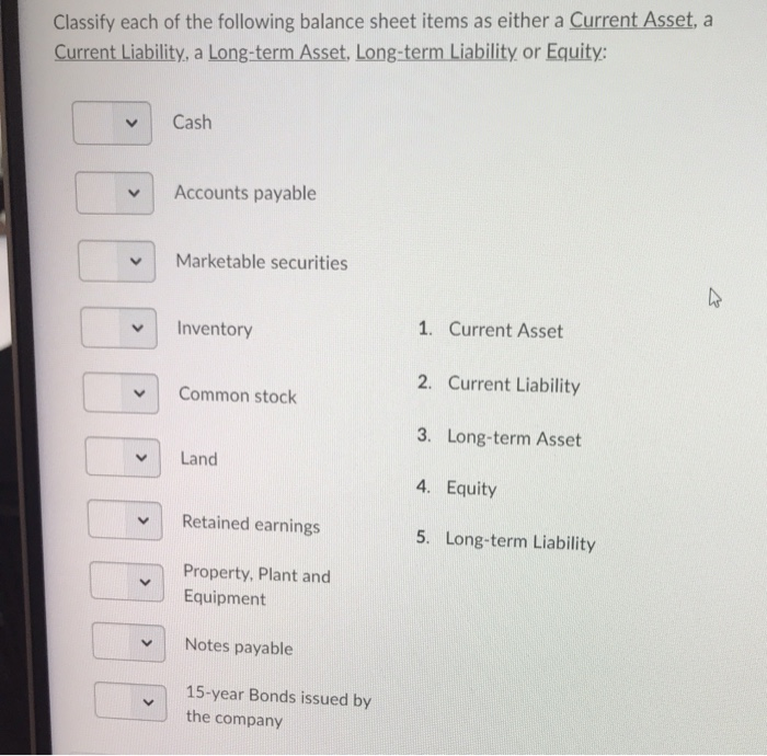 a price of $ 25 per unit. BowWow began 2010 with $