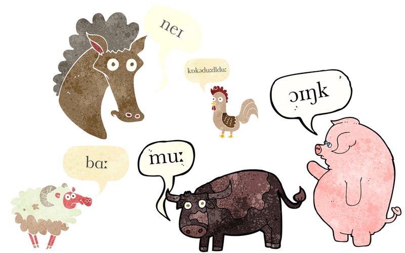  Introduction In this project you are going to implement a linguistic