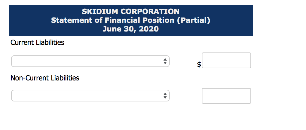 her new business venture, Skidium Corporation, the development of a local ski
