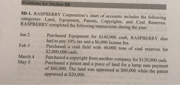  Problems for Section 8B 8B-1. RASPBERRY Corporation's chart of accounts includes