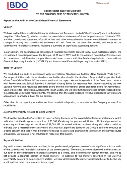 the standard audit report were intended to address the problem of the