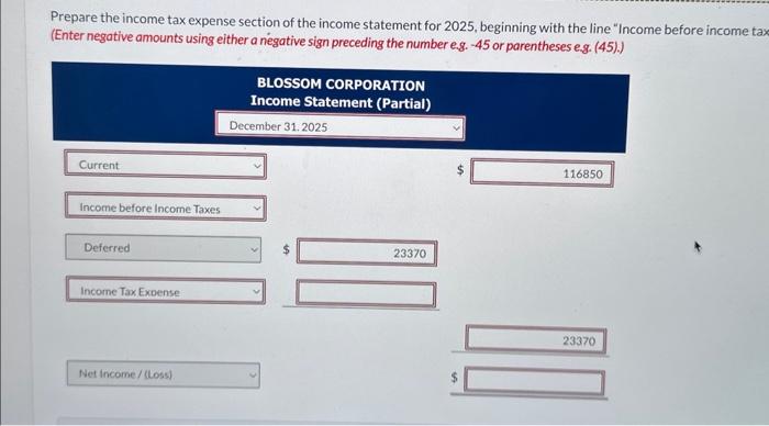 beginning with the line "Income before income tax (Enter negative amounts using