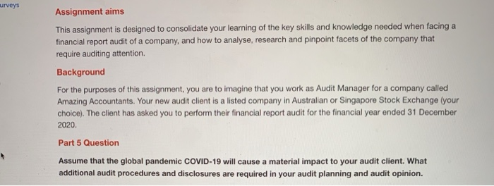 and knowledge needed when facing a financial report audit of a company,