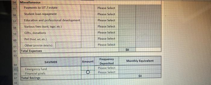 details): Total Income (After Taxes & Deductions) 11 $0 EXPENSES Amount Frequency