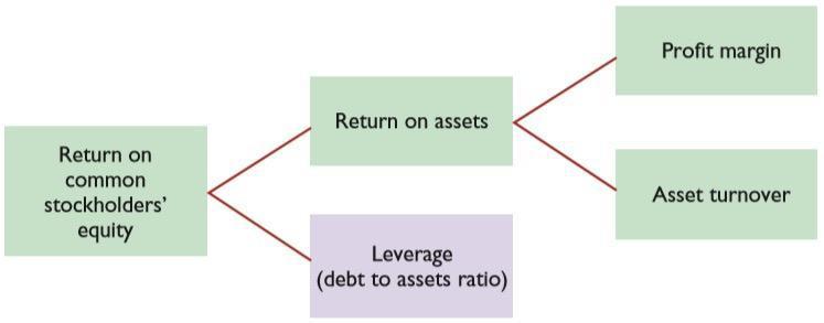  How to assess changes in return on common stockholders equity?Explain how