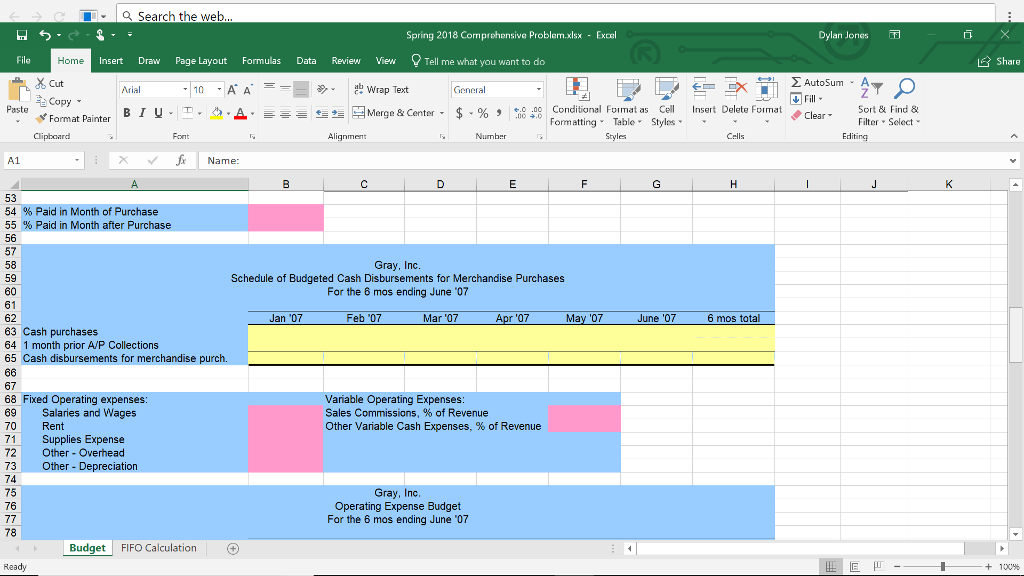 company). This project must include: Sales Forecast and Budget.......... Cash Receipts budget................