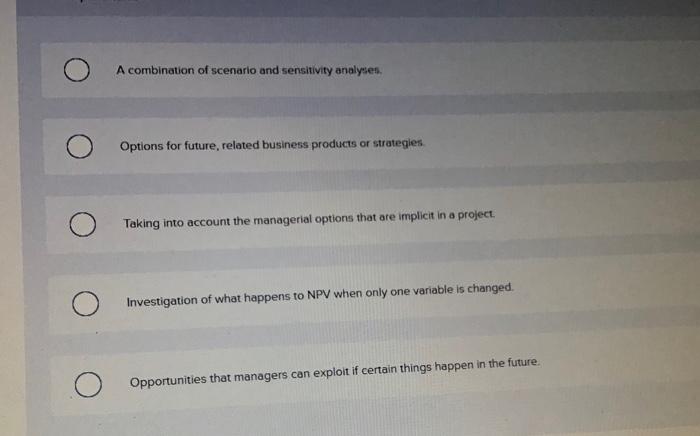 scenario and sensitivity analyses. Options for future, related business products or strategies.