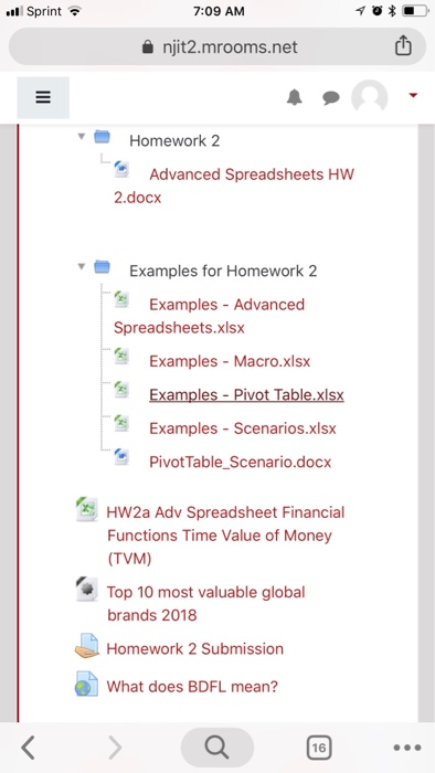 Homework II Productivity tools continued . Advanced Spreadsheets: Excel Businesses, NGO Government