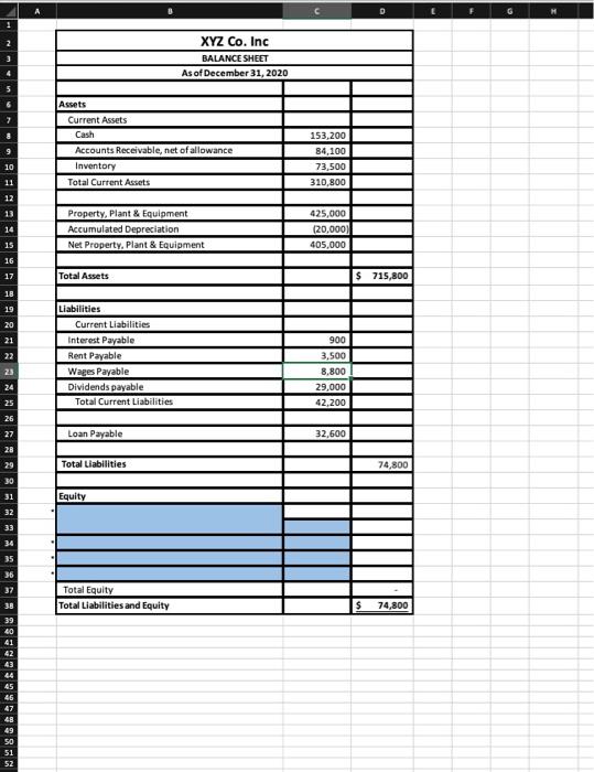 11 SHOW THE BAL SHEET PRESENTATION (JUST COMPLET THE BLUE CELLS, THE
