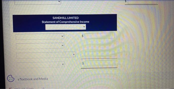 and a separate statement of comprehensive income for Saridhill Limited. Prepare a