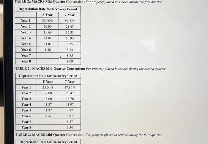 only business asset she purchased during the year, and her business was