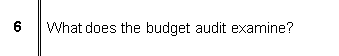  What does the budget audit examine